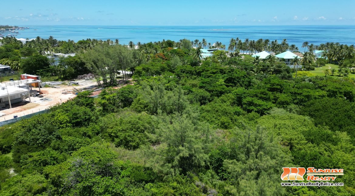 DJI_0806