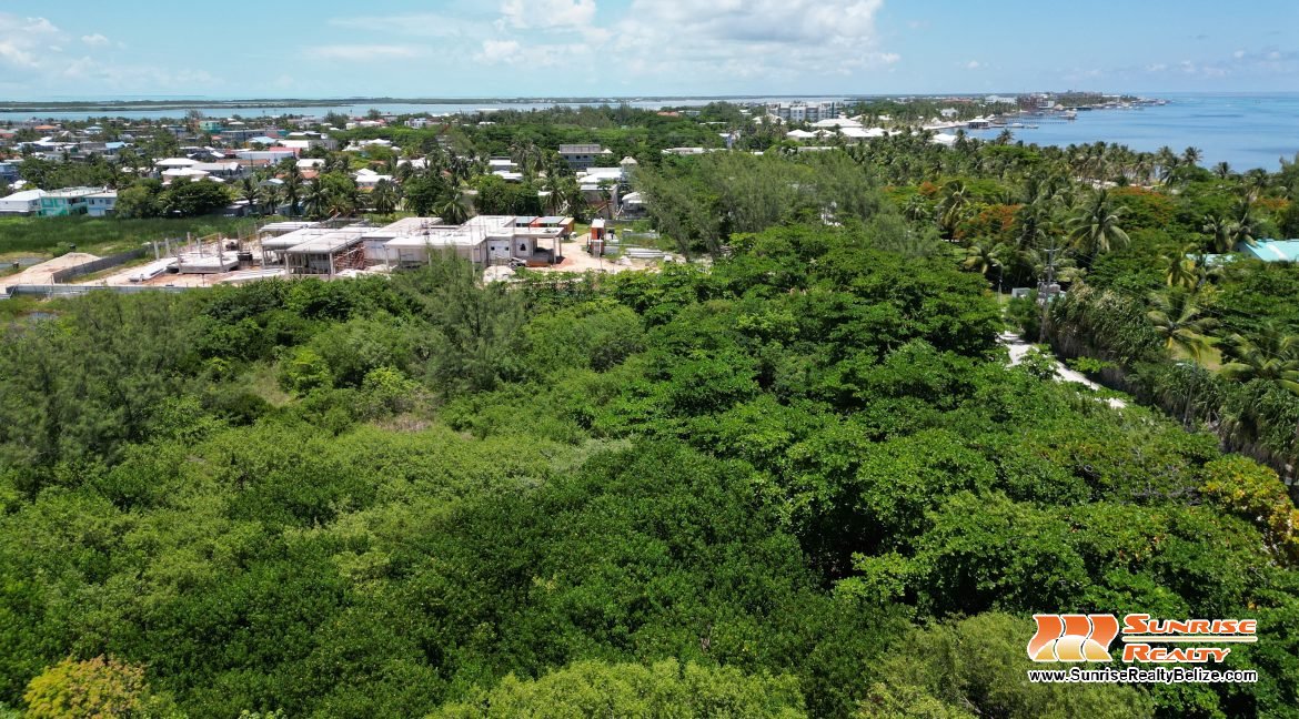 DJI_0808