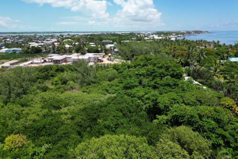 DJI_0808