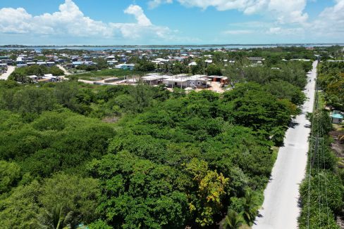 DJI_0809