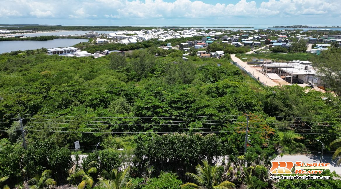 DJI_0811