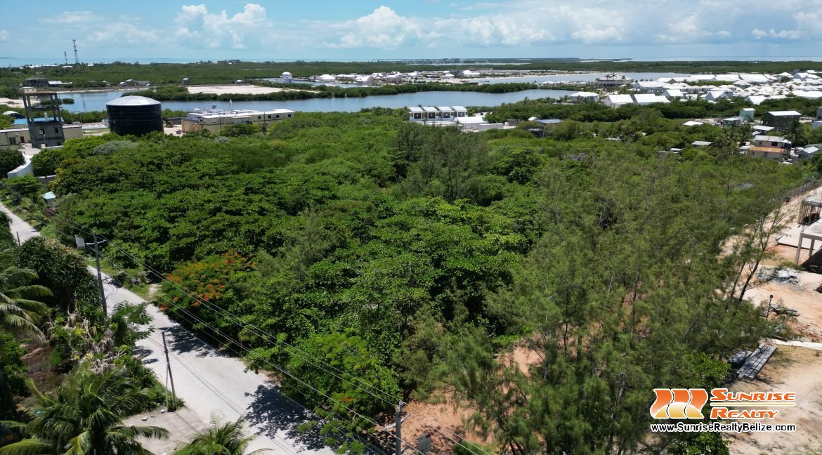 DJI_0813