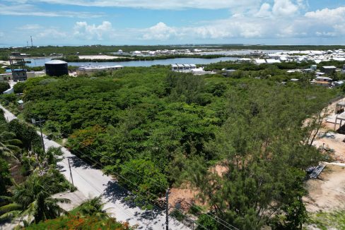 DJI_0813