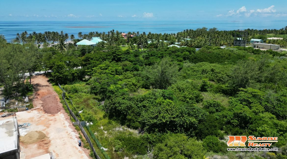 DJI_0817