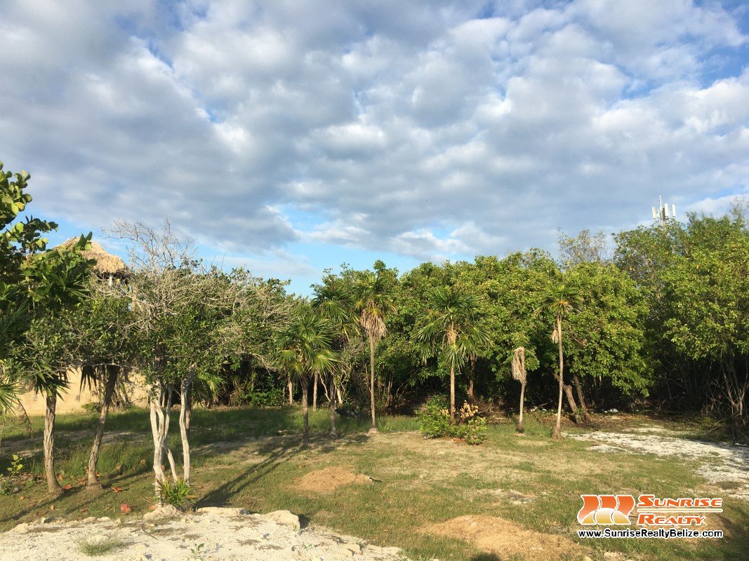 Beautiful Affordable Lot in Tres Cocos – Lot 4