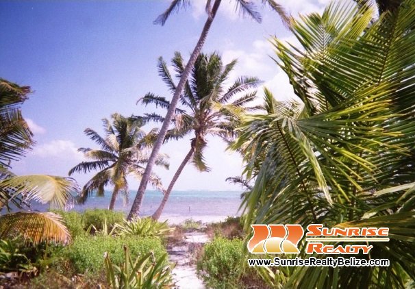 2 Acre Beach Property in Bacalar Chico