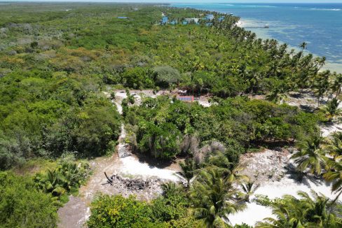 DJI_0040