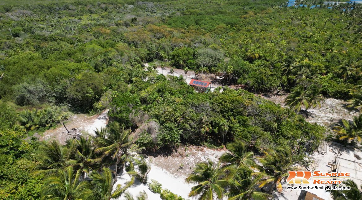 DJI_0041