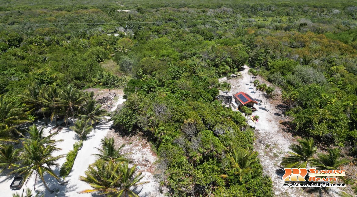 DJI_0043