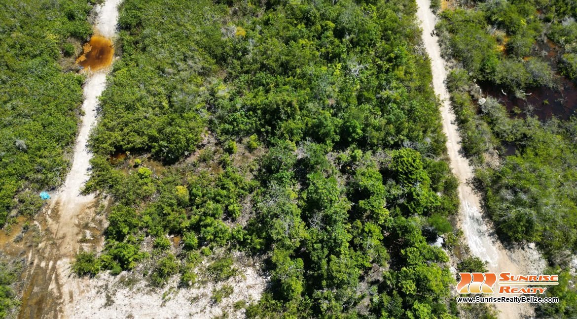 DJI_0015