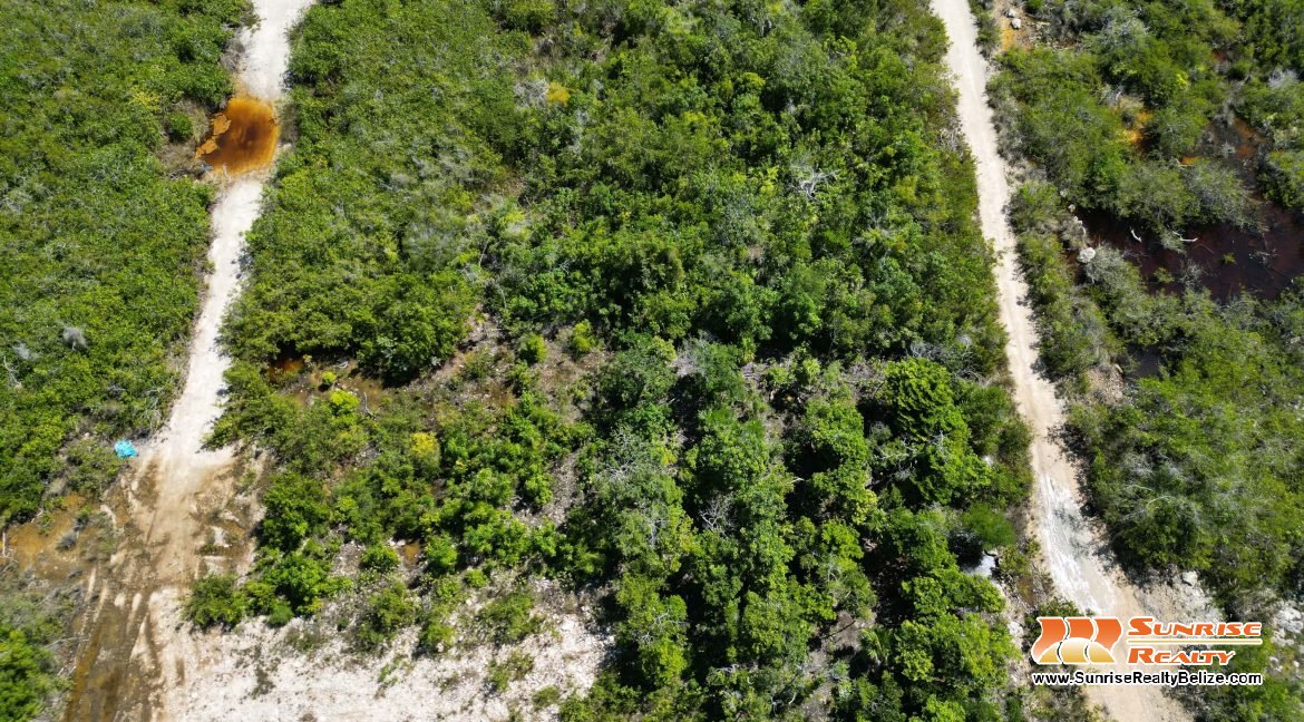 DJI_0016