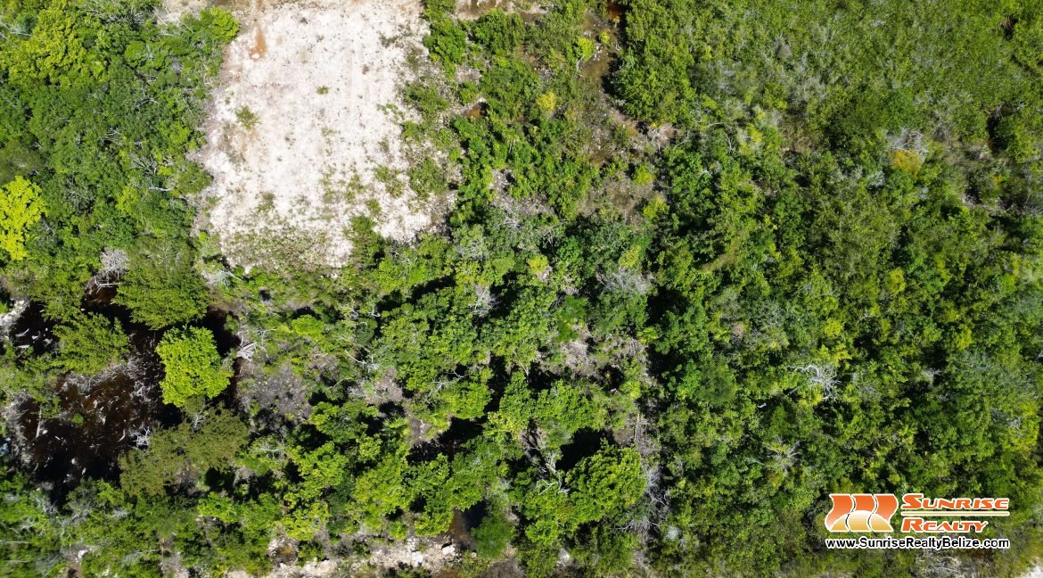 DJI_0018