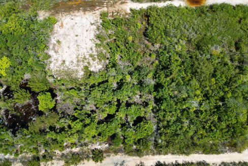 DJI_0018