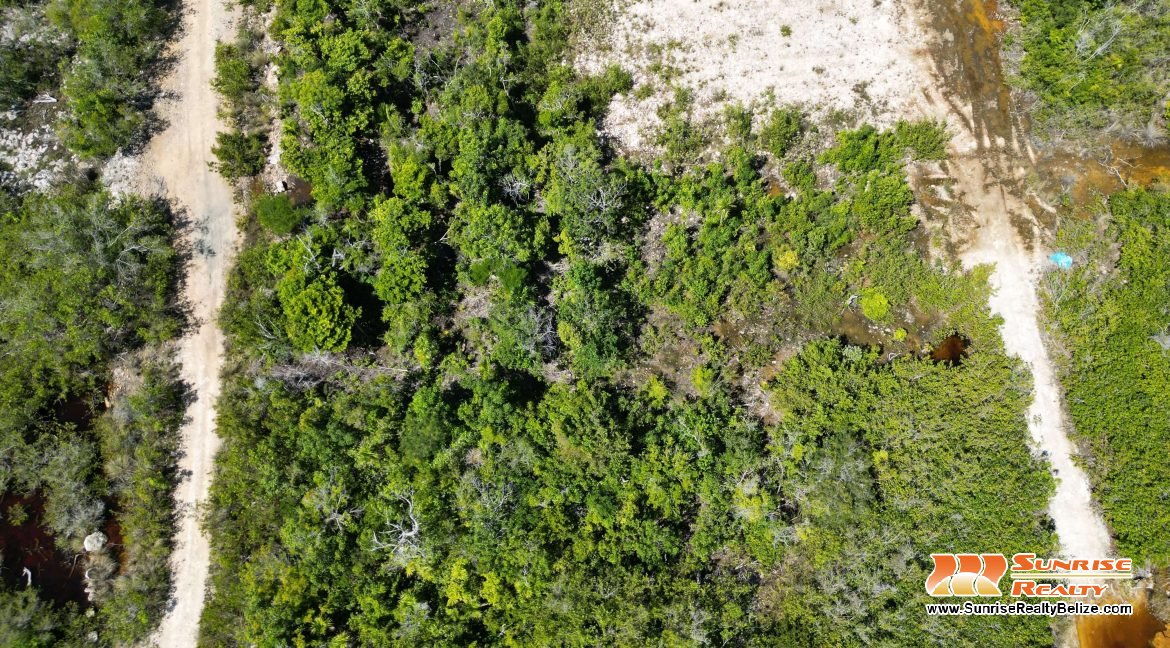 DJI_0019