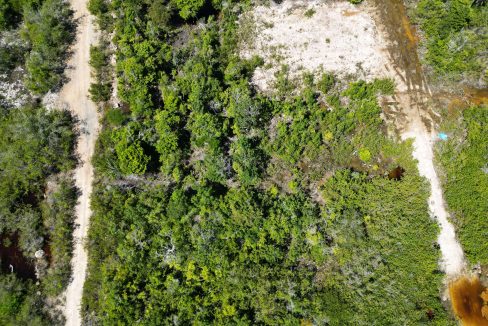 DJI_0019