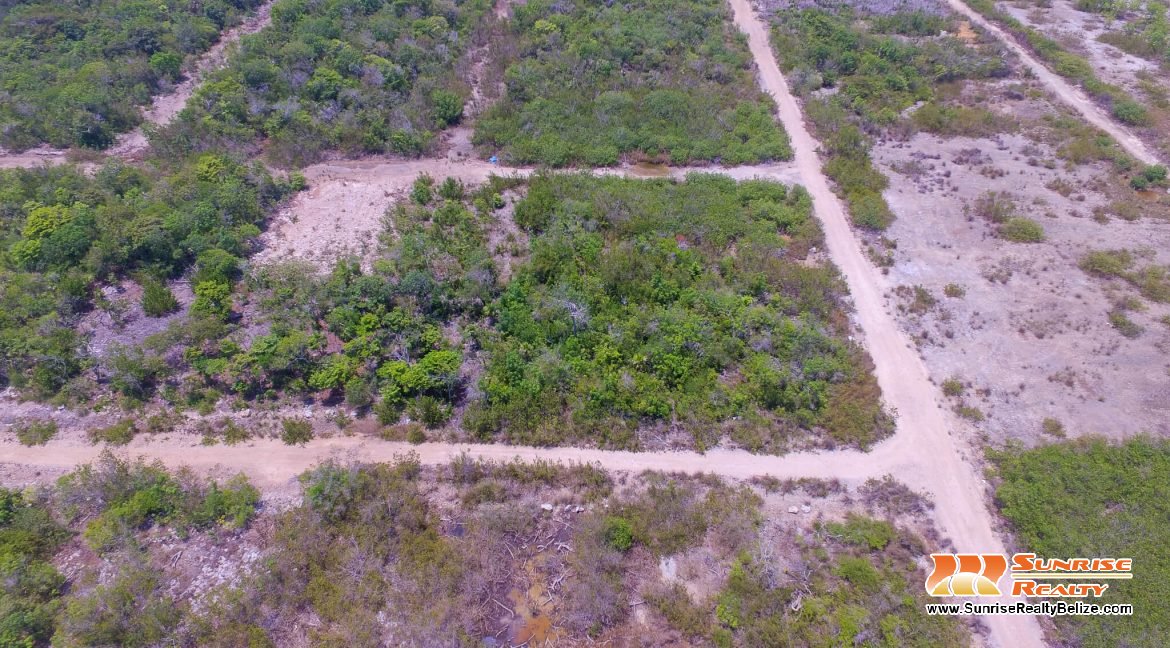 DJI_0049-2