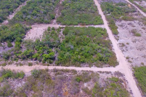 DJI_0049-2
