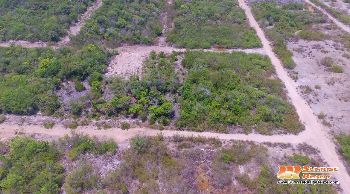 DJI_0050-2