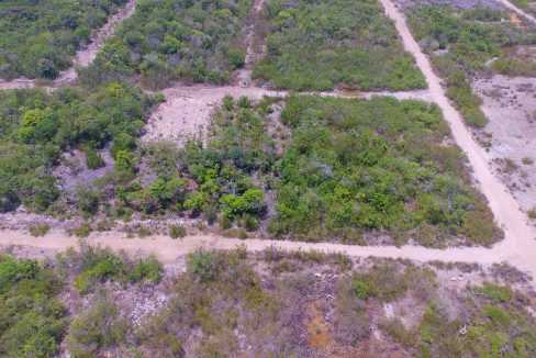 DJI_0050-2