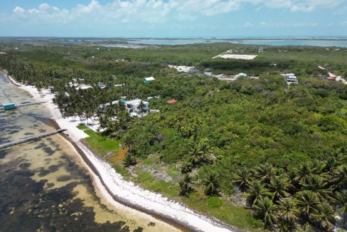 DJI_0087