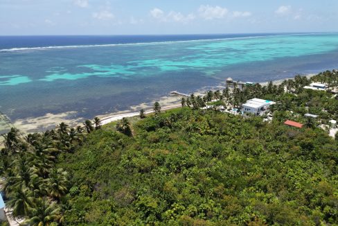 DJI_0091