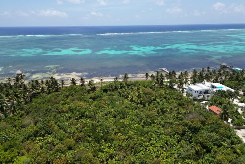 DJI_0092