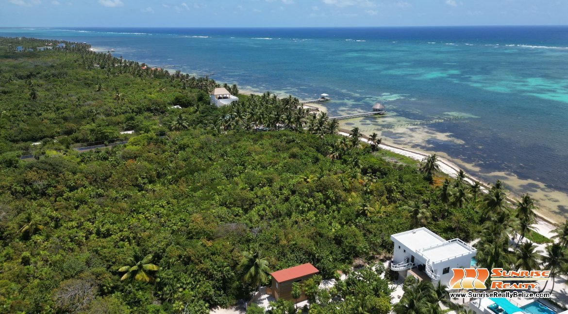 DJI_0095