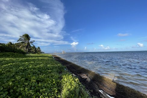 IMG_0665