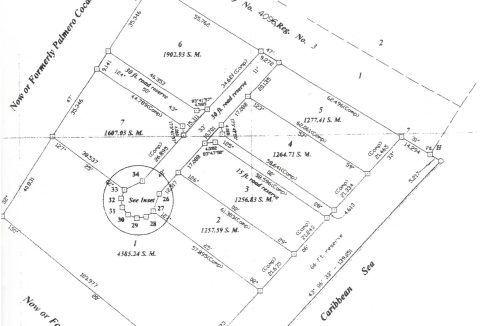 original Belize land survey 001
