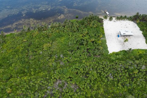DJI_0753