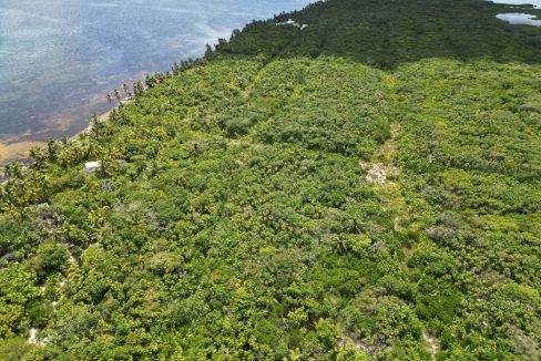 DJI_0766
