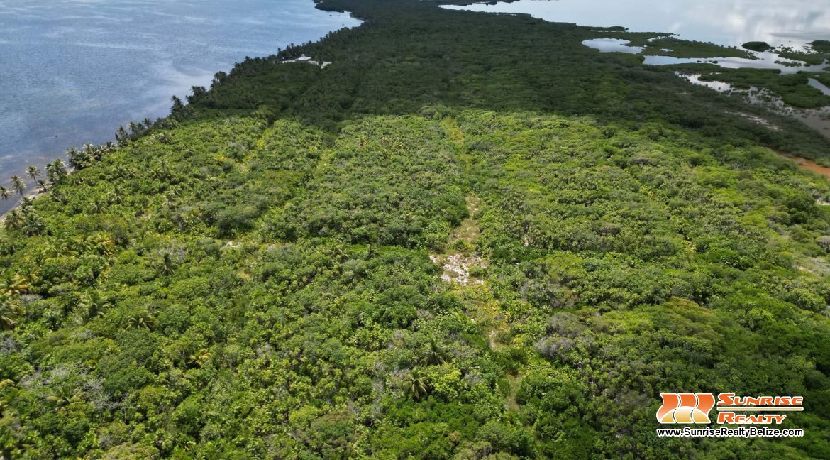 DJI_0768
