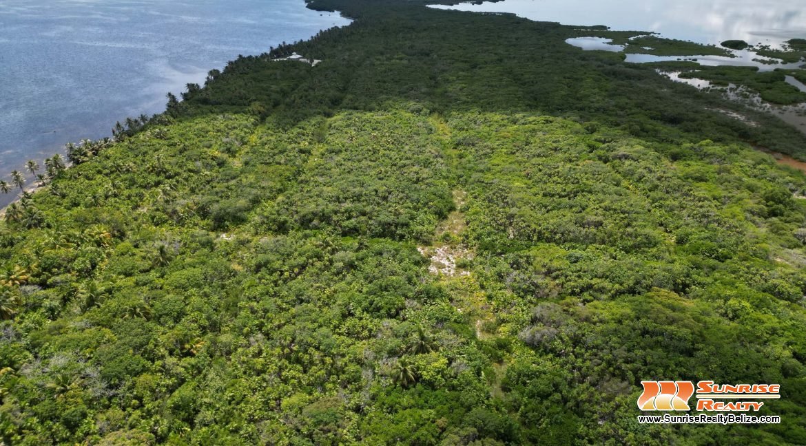 DJI_0769