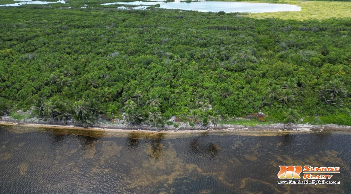 DJI_0784
