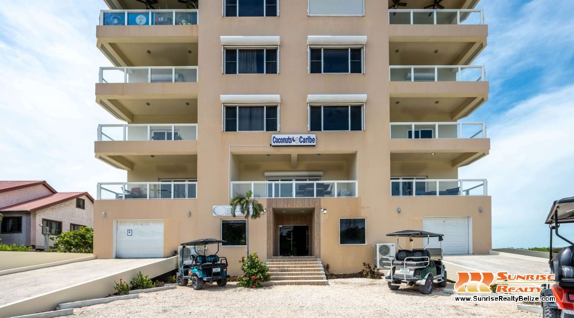 Coconuts Caribe 201-52