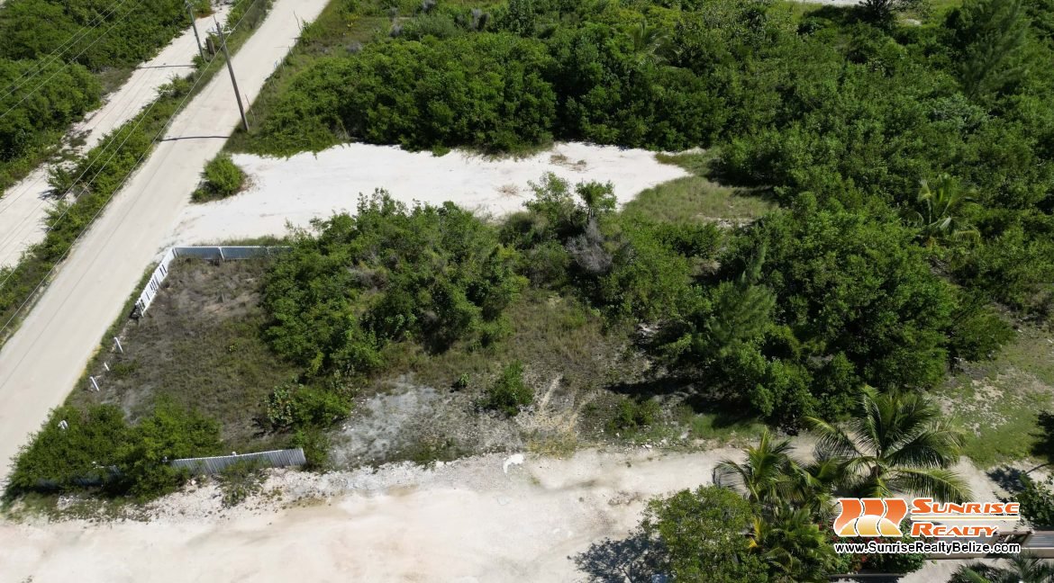 DJI_0339