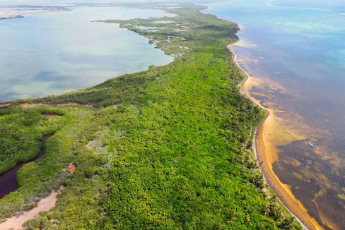 bacalar-chico-75ft-beach-frontage