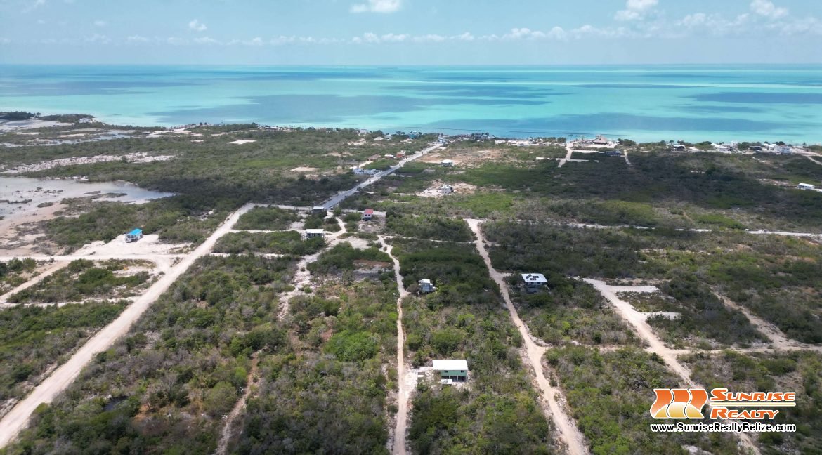 DJI_0142