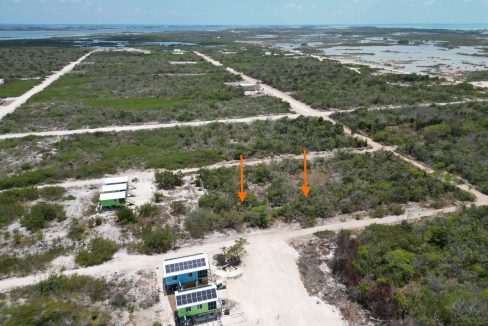 DJI_0156