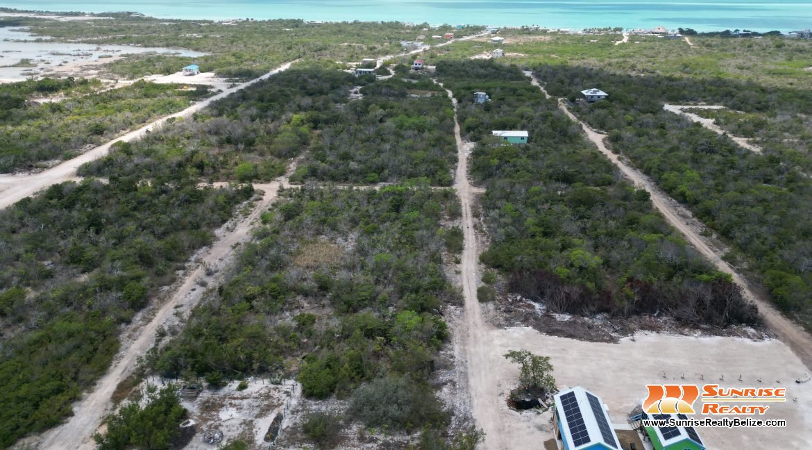 DJI_0174
