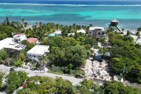 DJI_0866