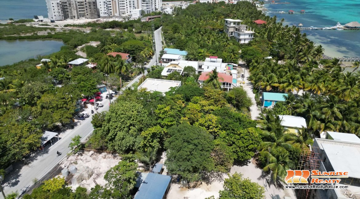 DJI_0869