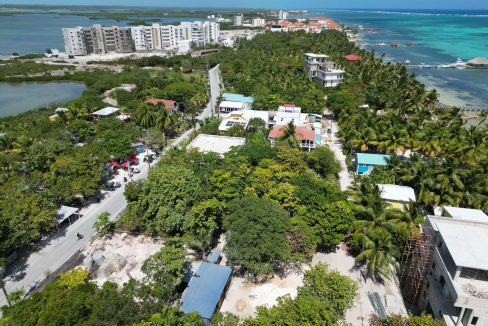 DJI_0869
