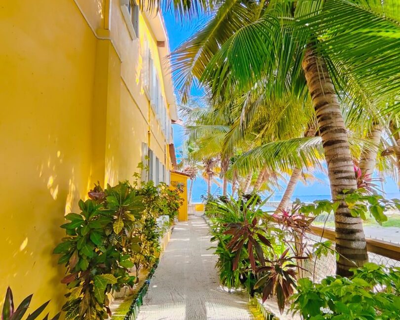CasadeBonita40