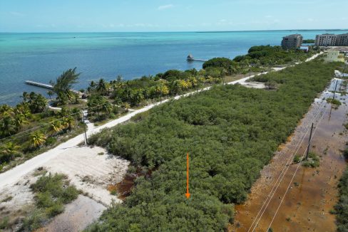 DJI_0049