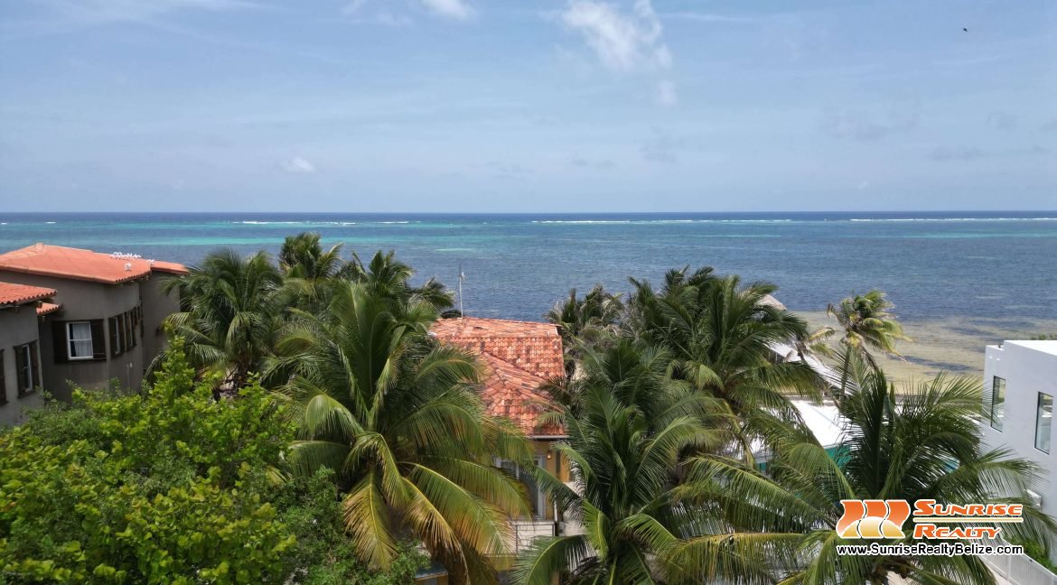 DJI_0167