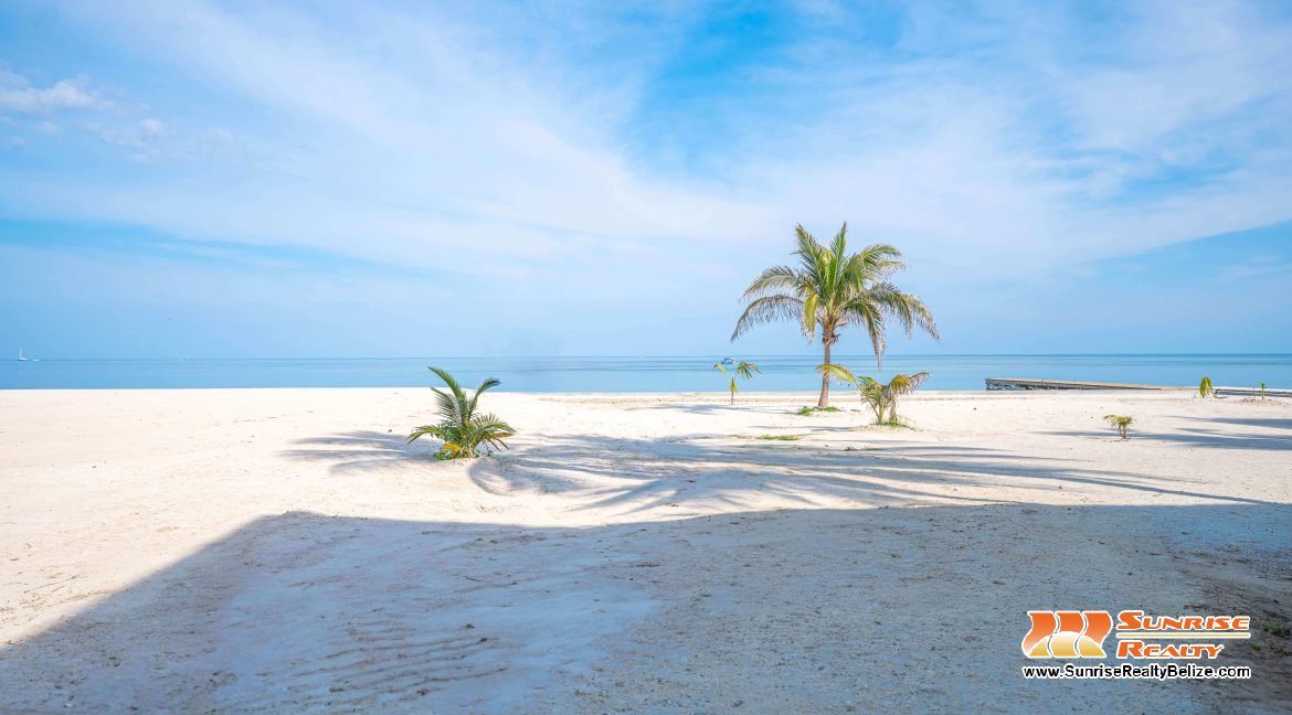 Bananas on the Beach 2-10223