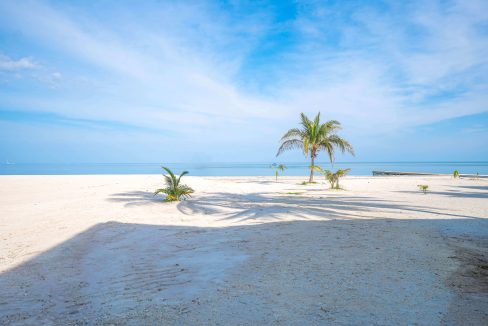 Bananas on the Beach 2-10223