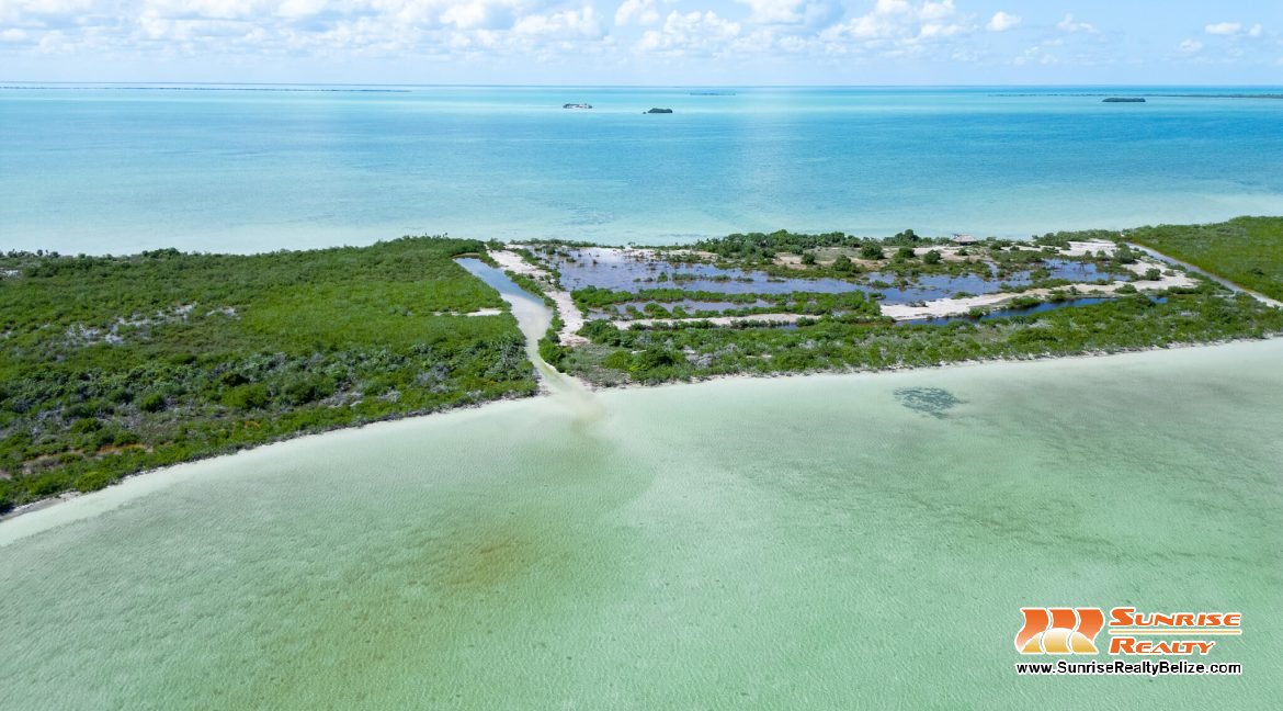 DJI_0209