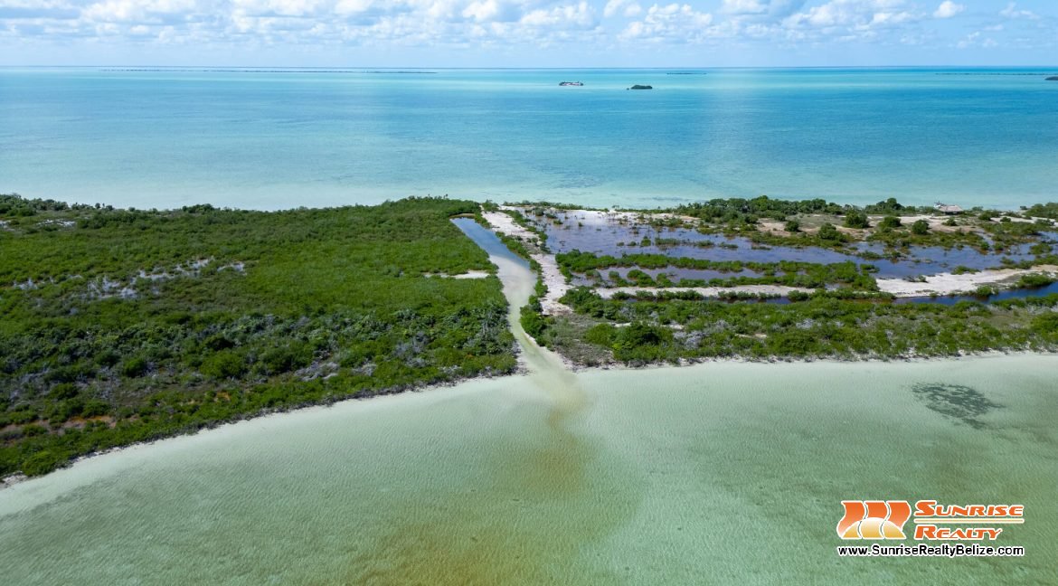 DJI_0211